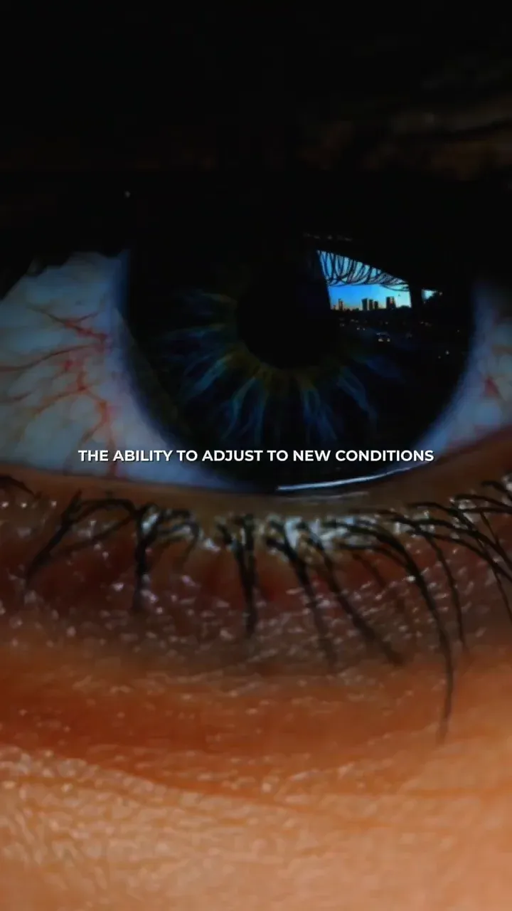 Adaptation — Screenshot 2