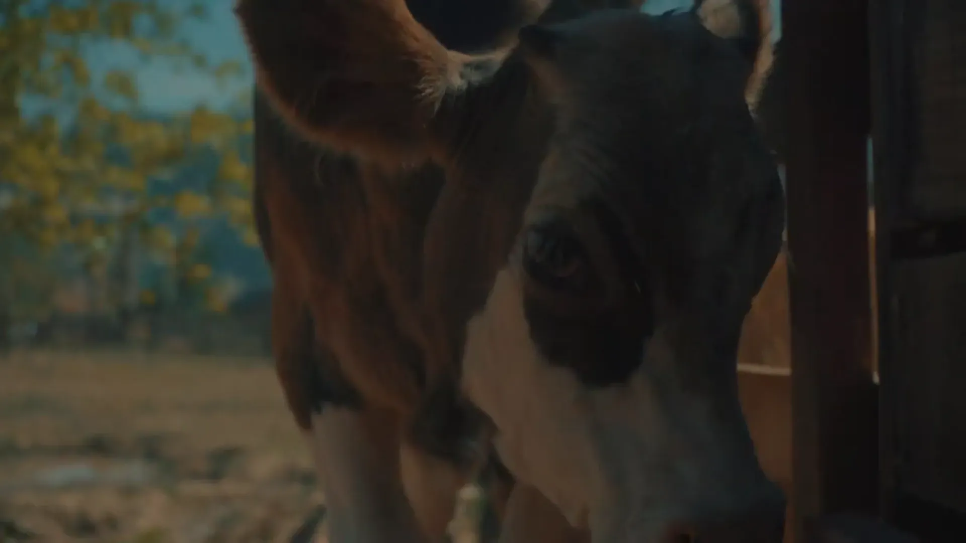 Farm Sanctuary SA — image 10