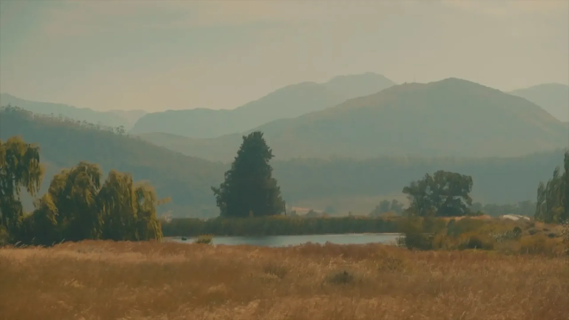 Farm Sanctuary SA — image 21