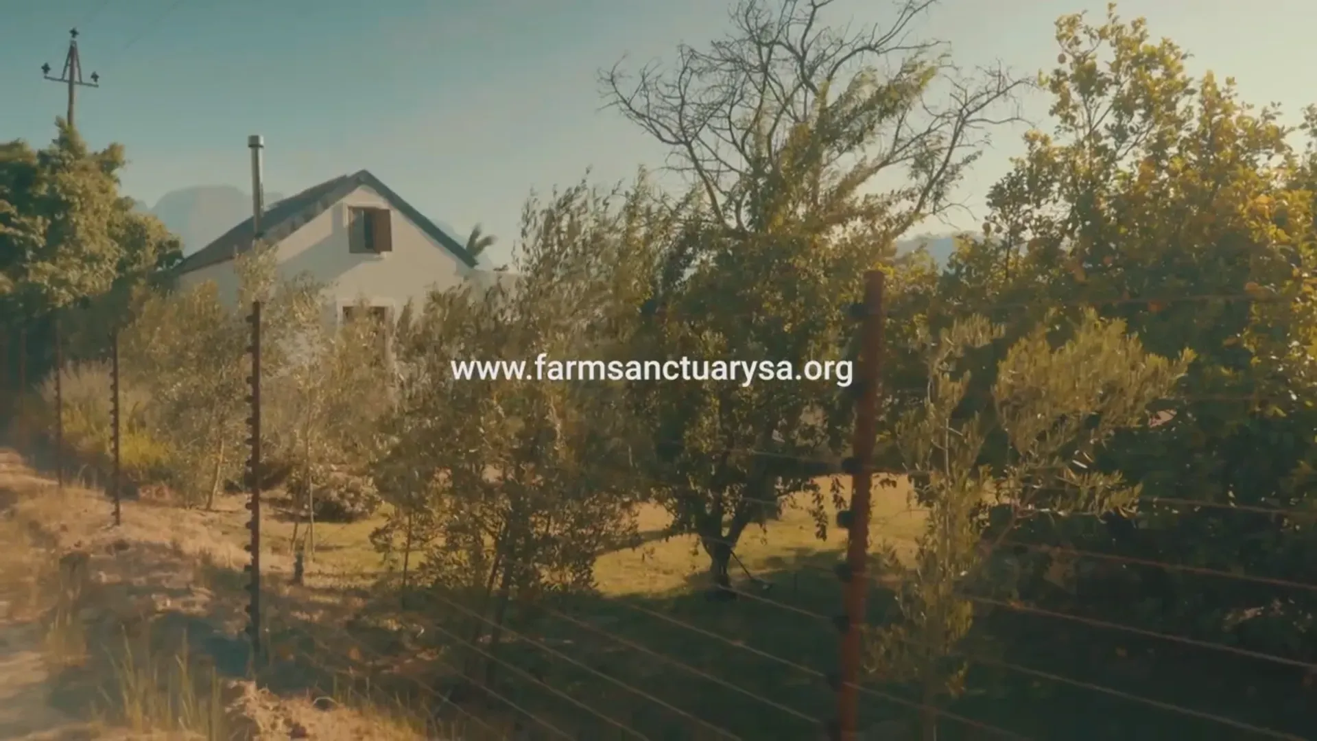 Farm Sanctuary SA — image 22