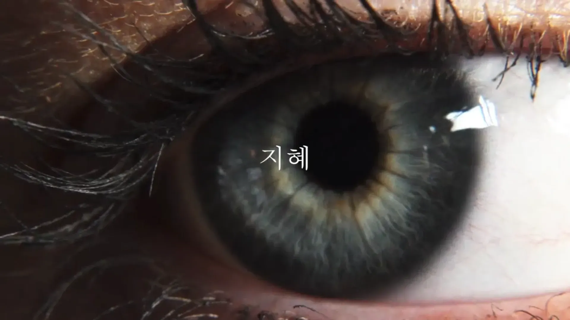 Haus 9 — Teaser — image 11