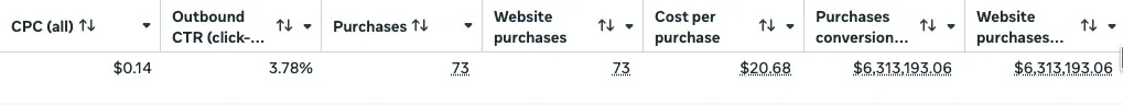 Meta Ads conversions: purchases and conversion value — Heinrich Songmin Berger (Henny)