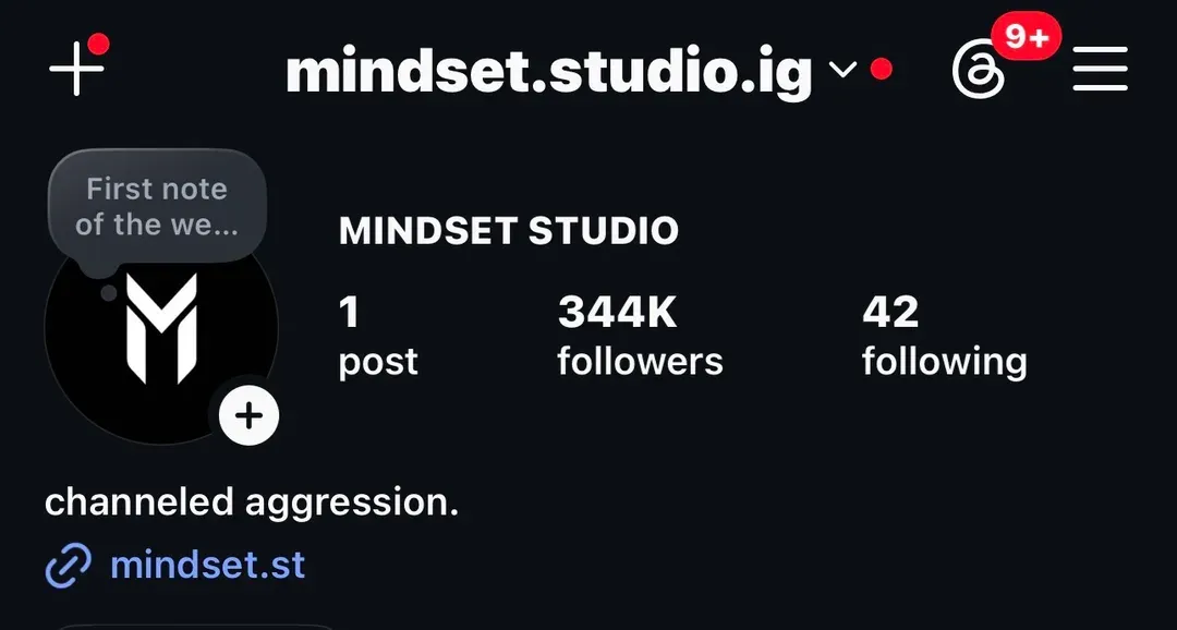 Instagram profile Mindset Studio at 344K followers — Heinrich Songmin Berger (Henny)