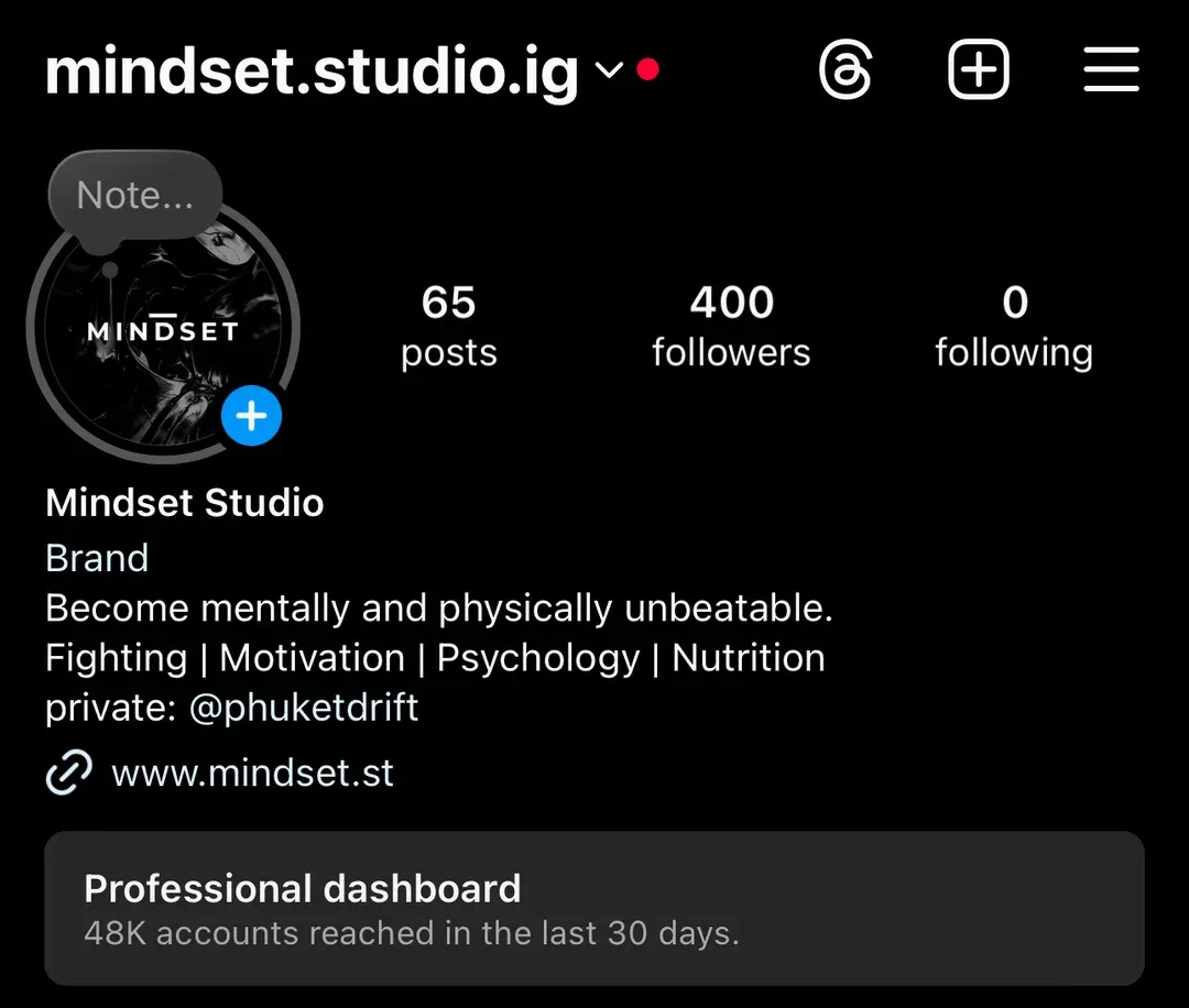 Instagram profile Mindset Studio at 400 followers — Heinrich Songmin Berger (Henny)