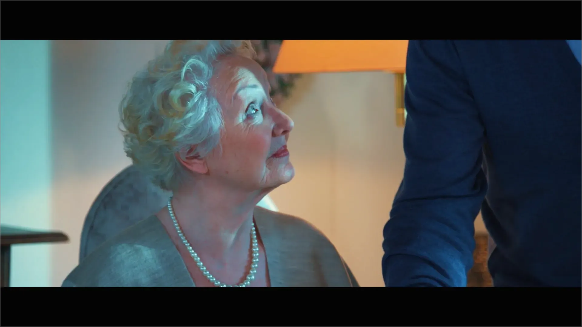 Spring of the Swallows — Director's Cut — image 3