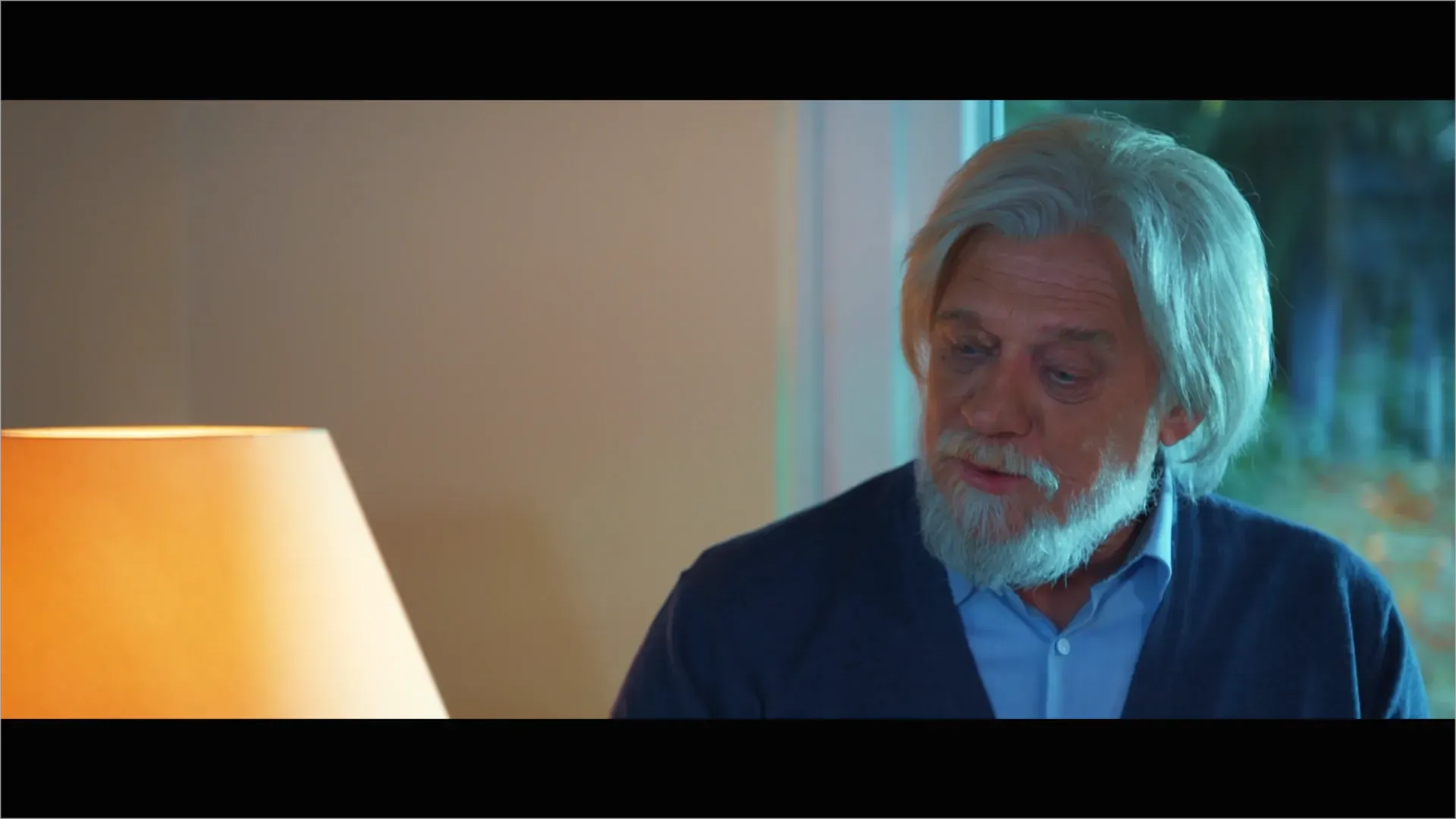 Spring of the Swallows — Director's Cut — image 4