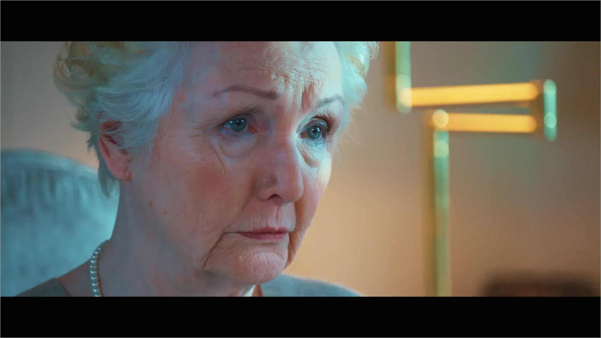 Spring of the Swallows — Director's Cut — image 7