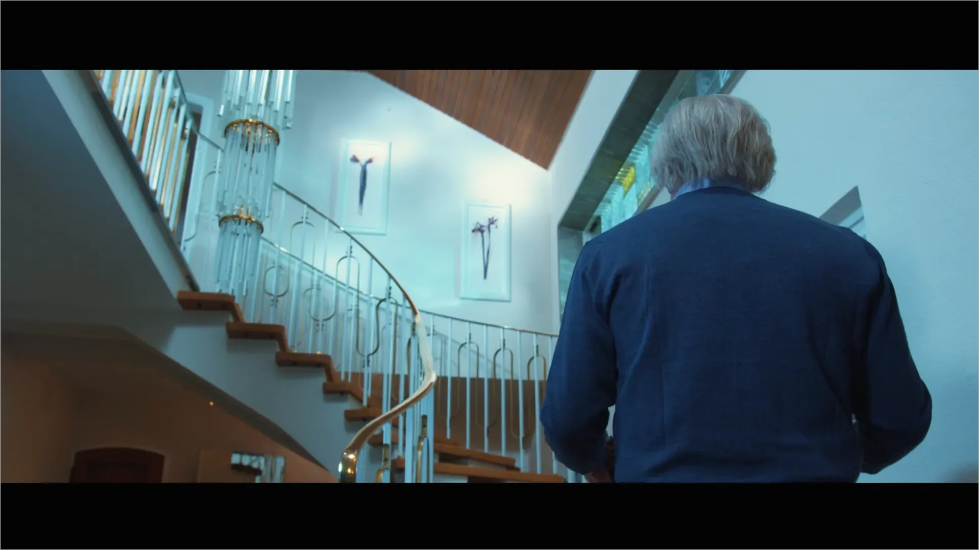 Spring of the Swallows — Director's Cut — image 11