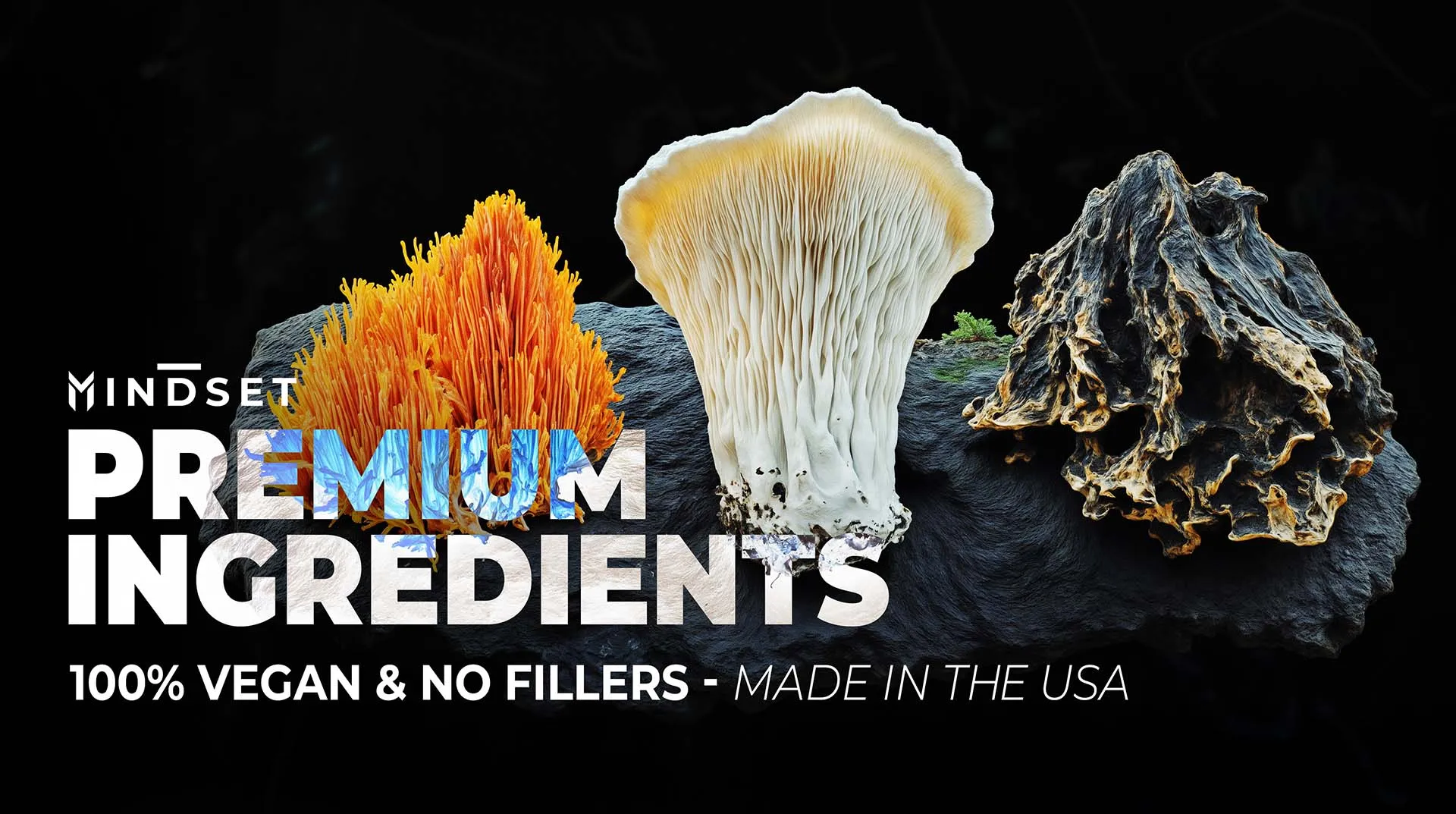 Mindset Studio supplements banner with individual mushrooms on black, AI-generated