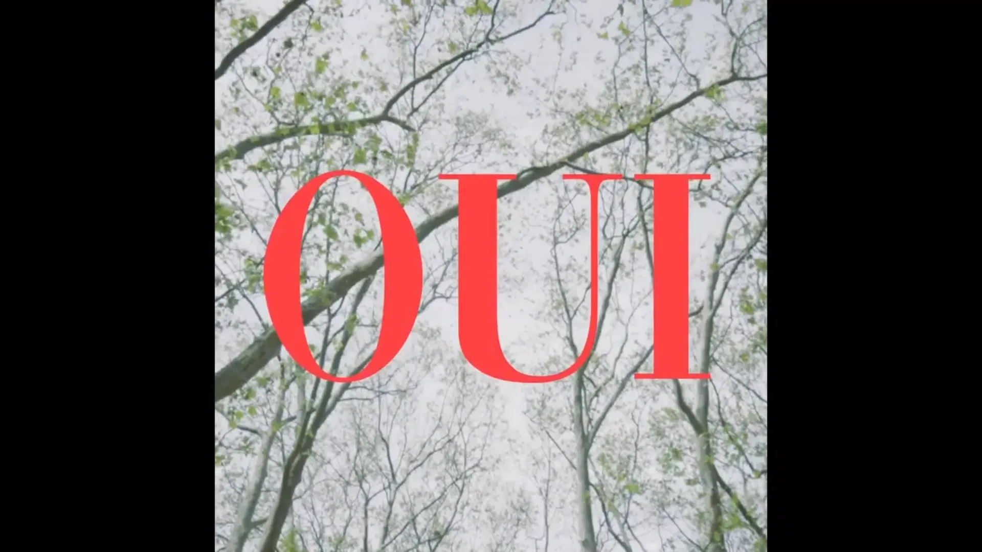 OUI — image 6